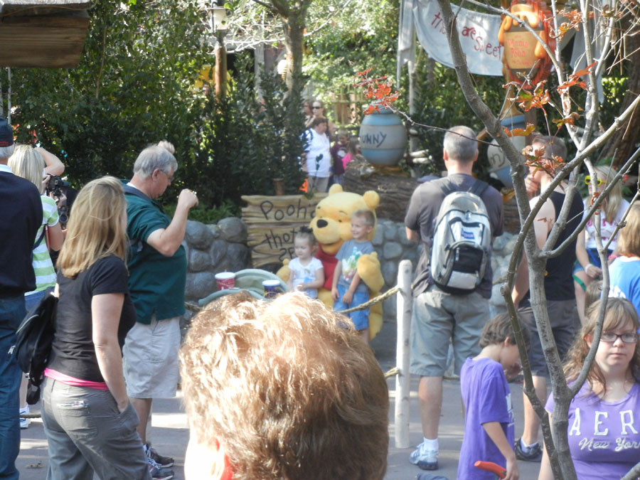 Disneyland Critter Country Riverside Picture